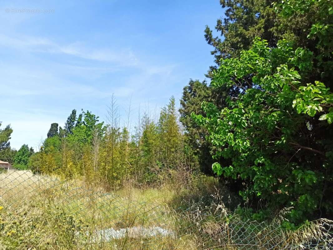 Terrain à FOS-SUR-MER