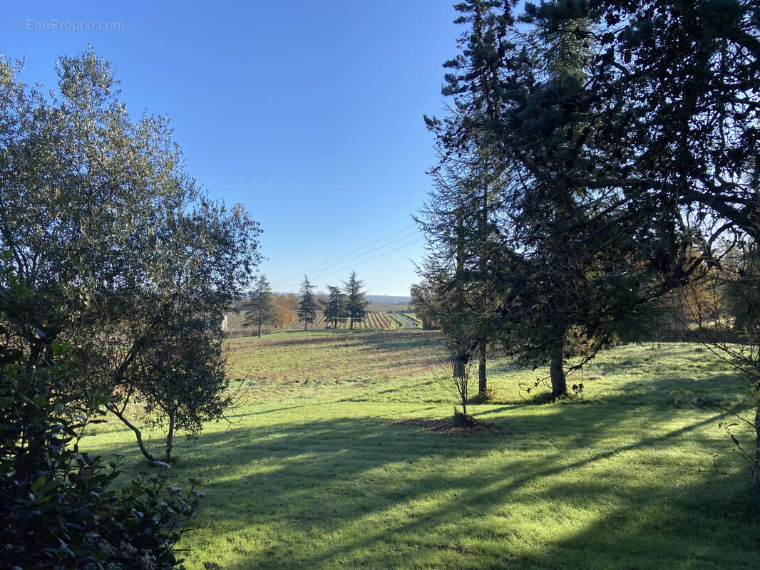 Maison de campagne proche d’Eauze - photo 20