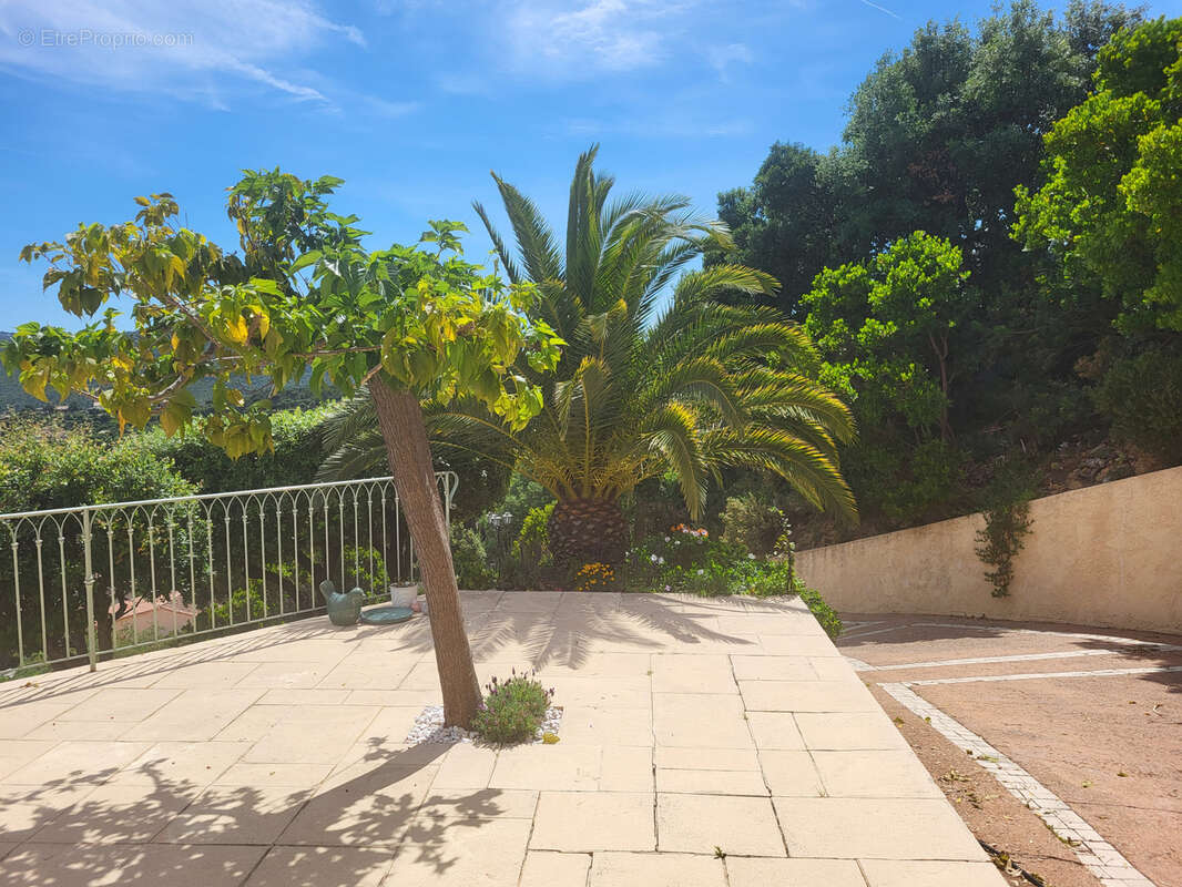 Maison à ROQUEBRUNE-SUR-ARGENS