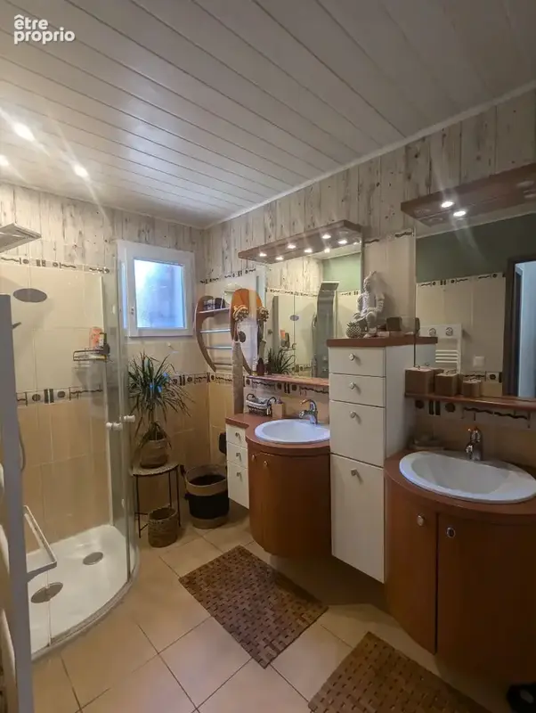 SILLANS LA CASCADE, maison 5 pièces avec dépendances, piscine et garage - photo 11
