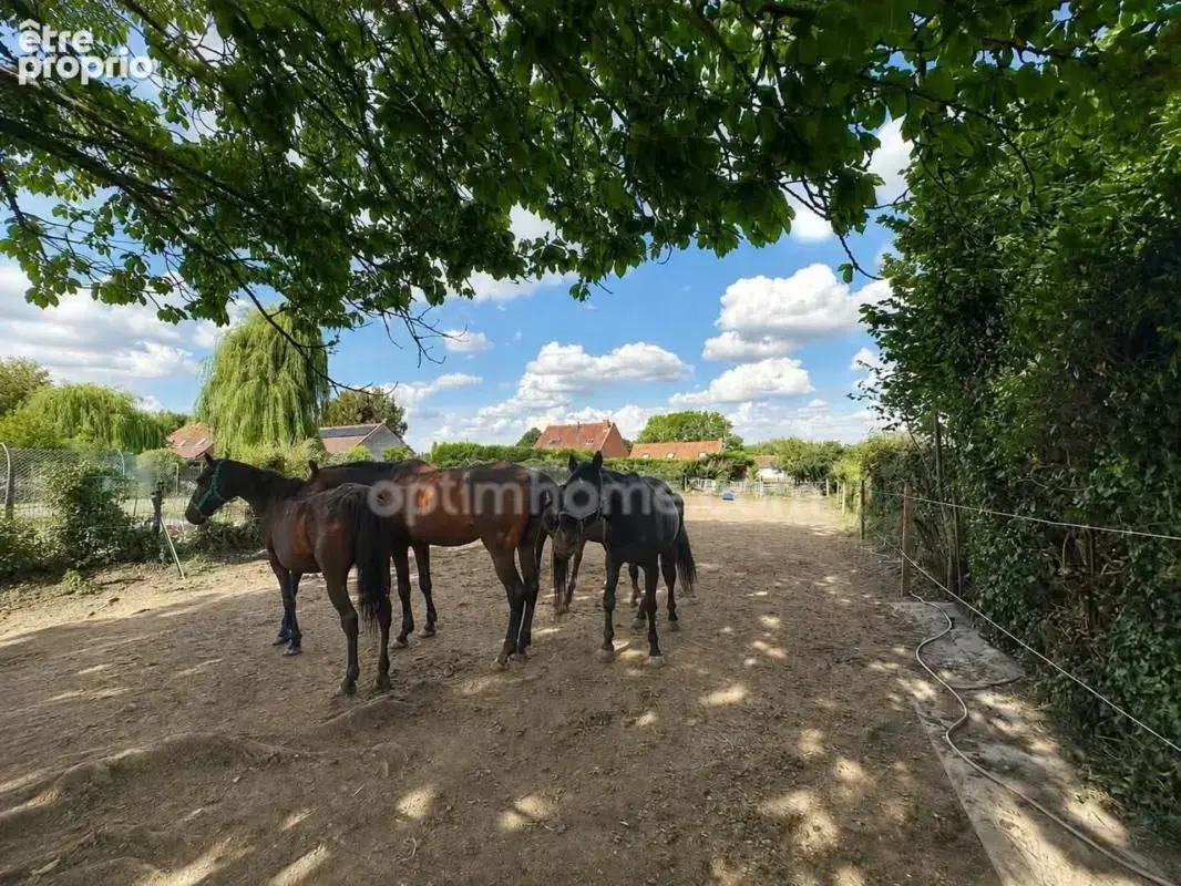  à vendre – belle maison familiale à burbure  - photo 12