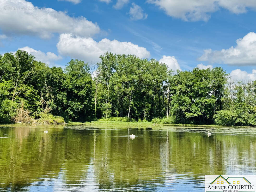 Terrain à LA CHAUX-EN-BRESSE