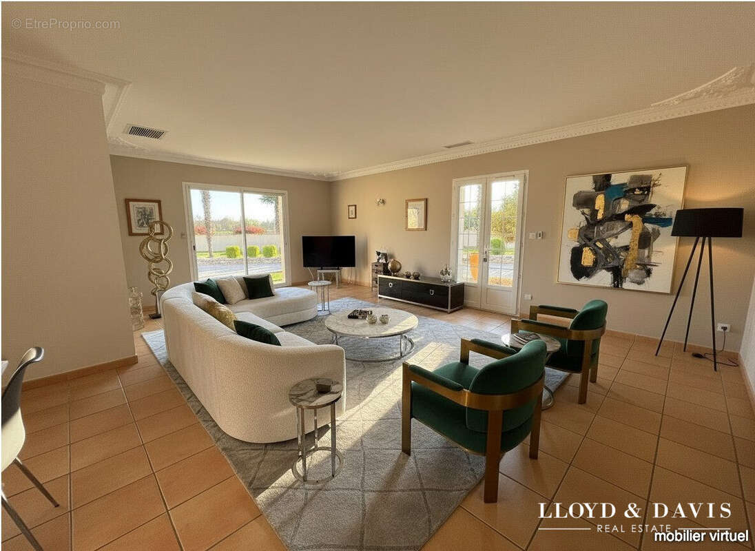 Salon lumineux - Maison à VALENCE