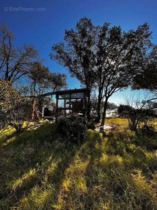 Terrain à POGGIO-MEZZANA
