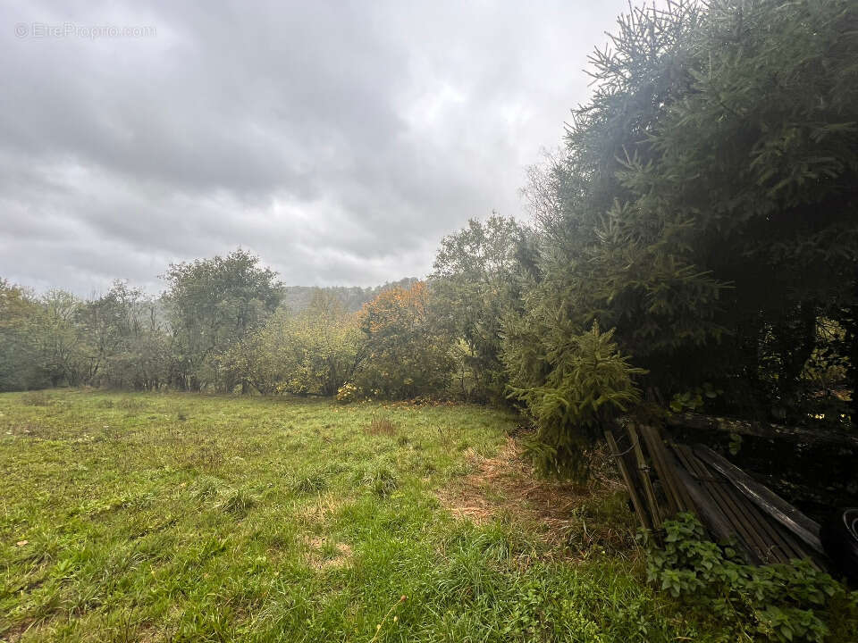 Terrain à SANSAC-DE-MARMIESSE