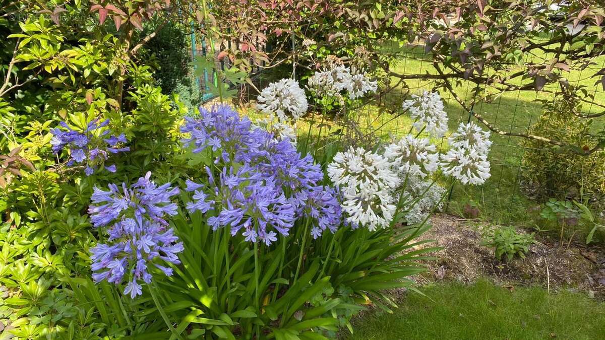 Maison à BOIS-D'ARCY
