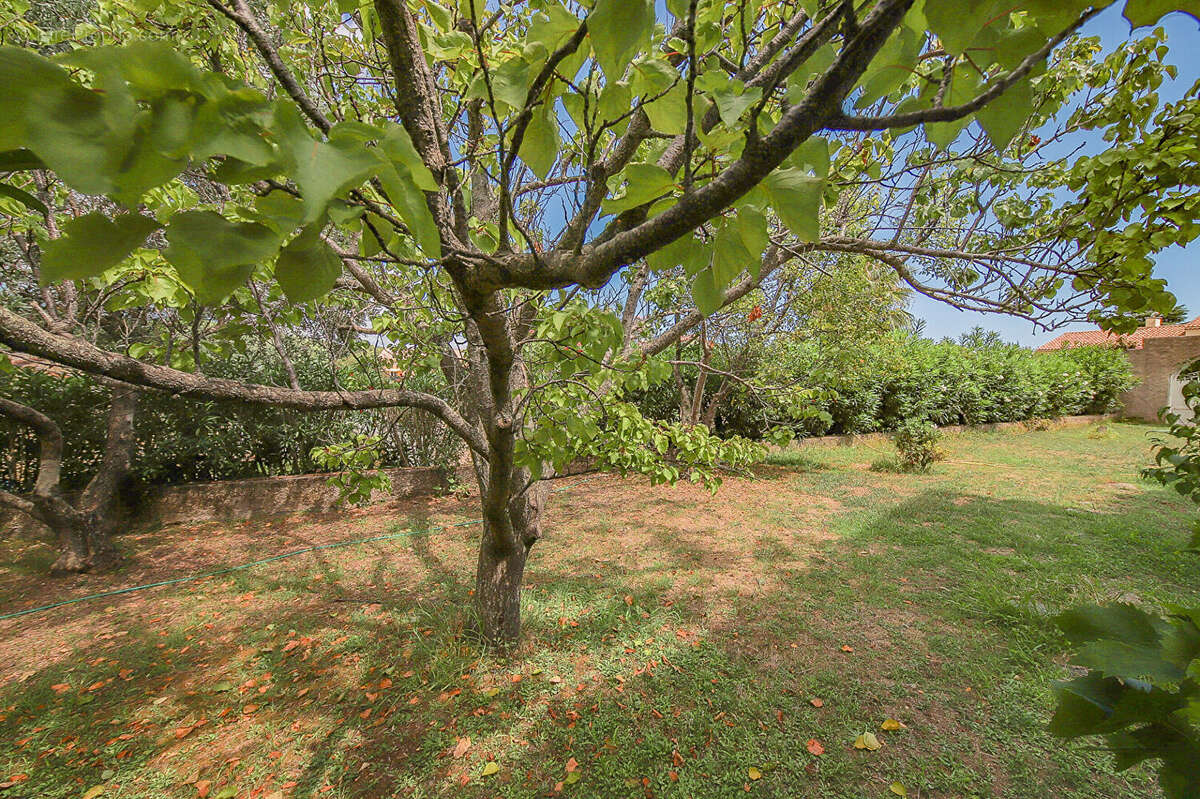 Appartement à BIGUGLIA