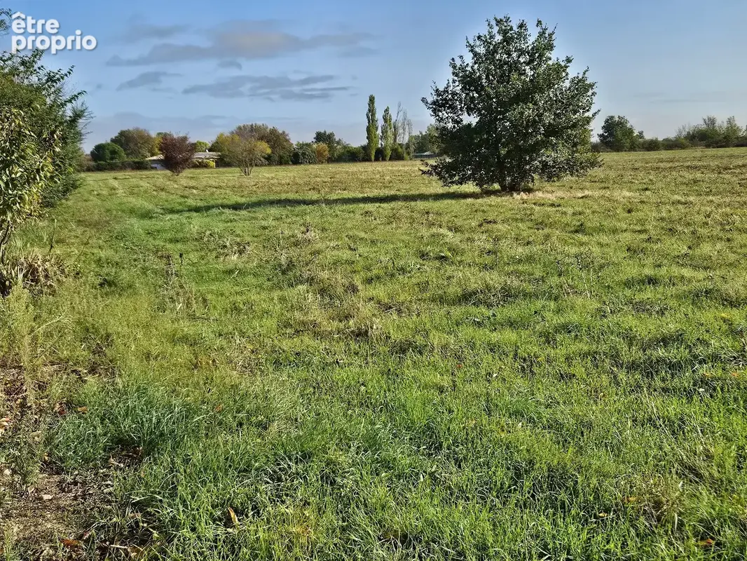 Seysses terrain - photo 4