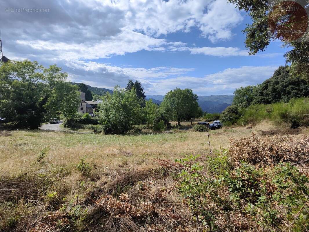 Terrain constructible de 2553m² en Cévennes Vallée Française - photo 3