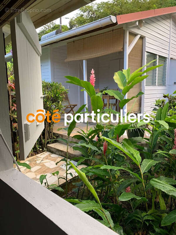 Terrain à POINTE-NOIRE