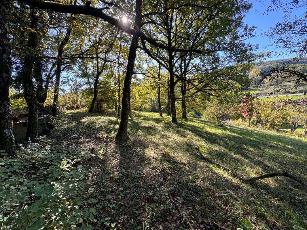 Maison à SICCIEU-SAINT-JULIEN-ET-CARISIEU