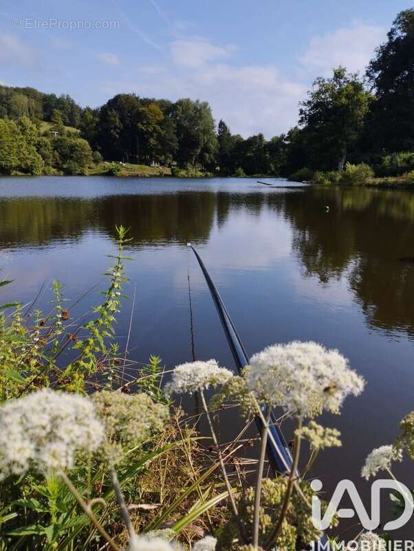 Photo 3 - Terrain à DONTREIX