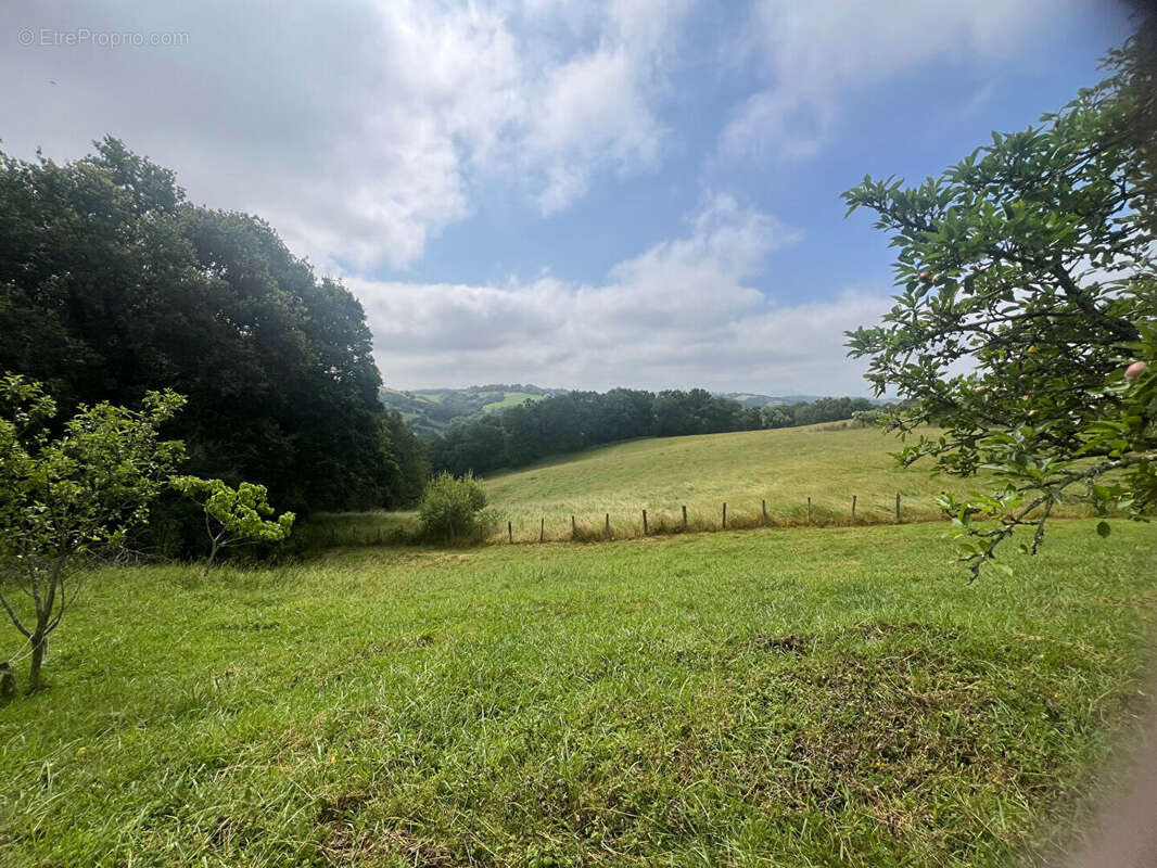 Terrain à HASPARREN