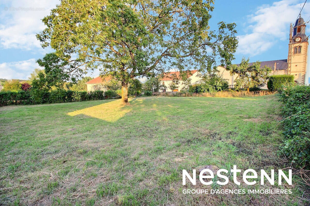Terrain à TETING-SUR-NIED