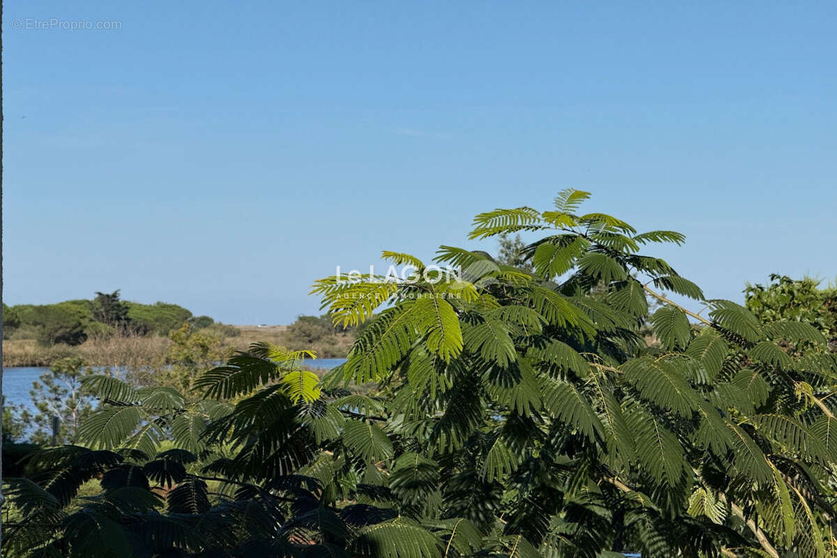 Appartement à SAINT-CYPRIEN