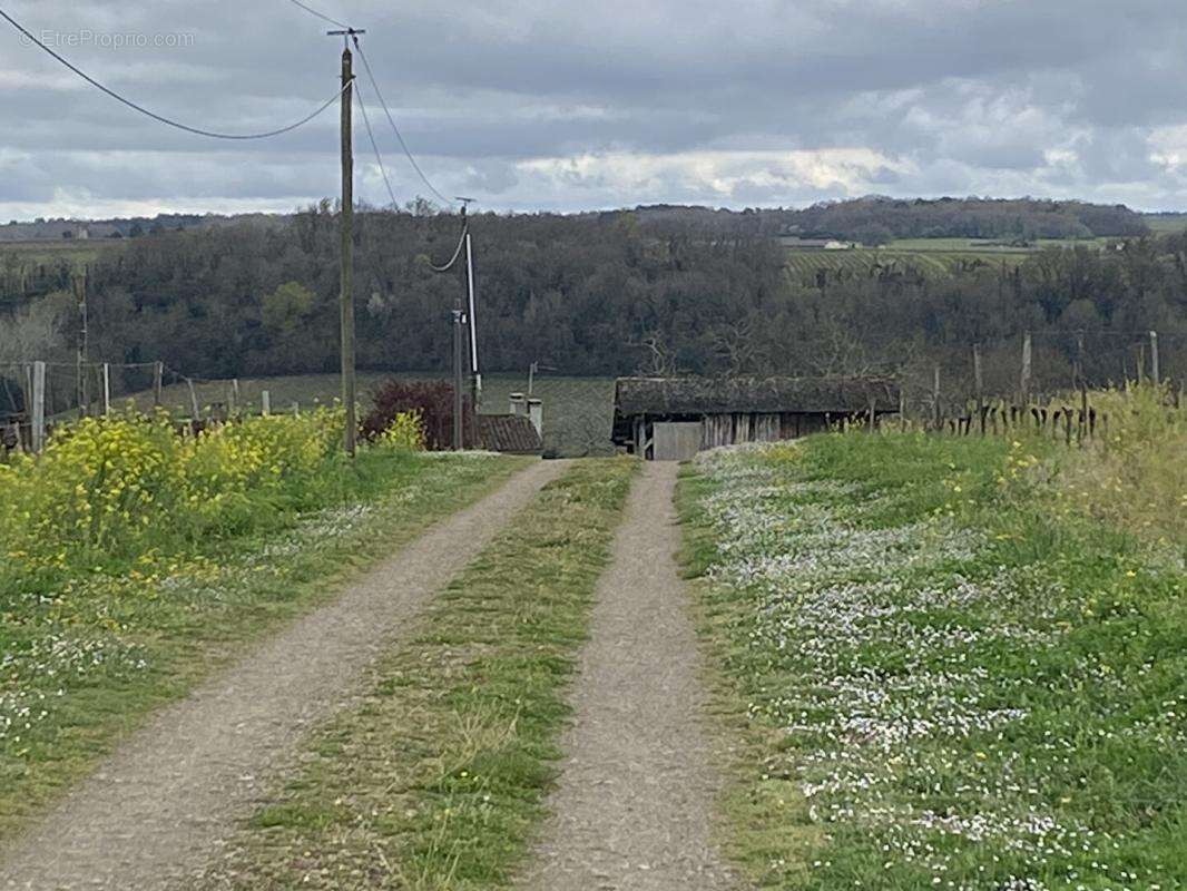 Maison à SAINT-PEY-DE-CASTETS