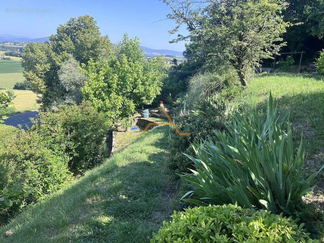 Vieux village de la begude - photo 15