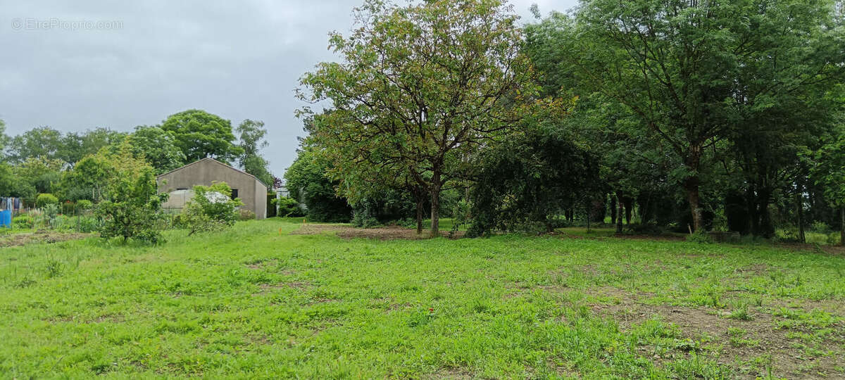 Terrain à LE BIGNON