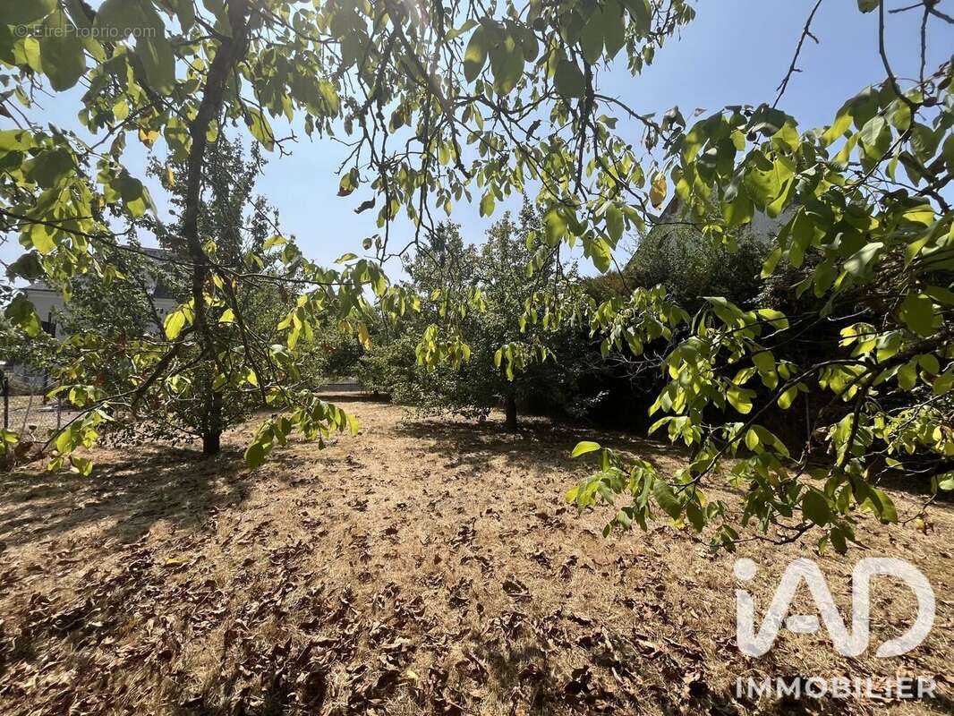 Terrain 391 m² à Sainte-Catherine-De-Fierbois  - photo 2
