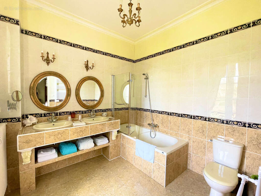 Maison à LA ROCHE-POSAY