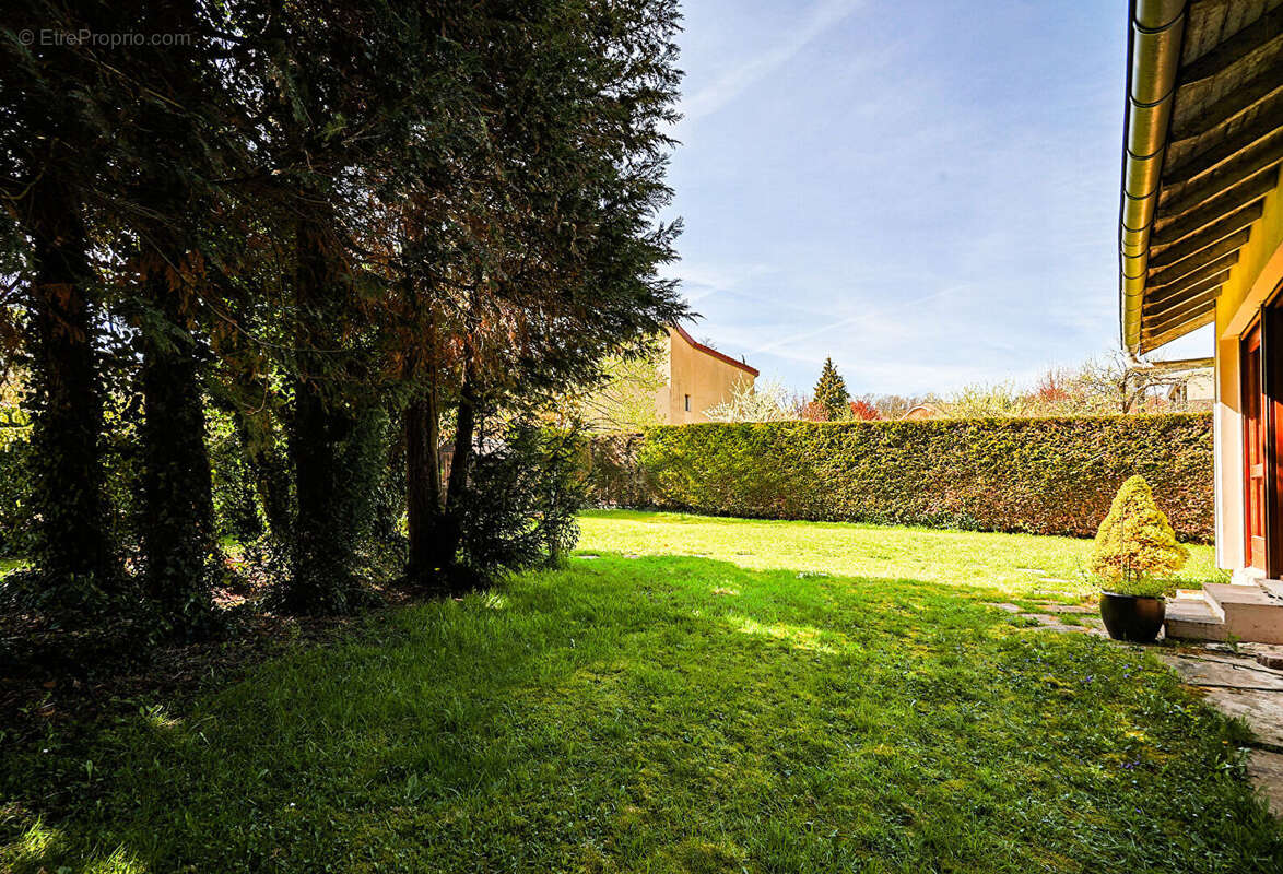 Maison à SAINT-AVOLD