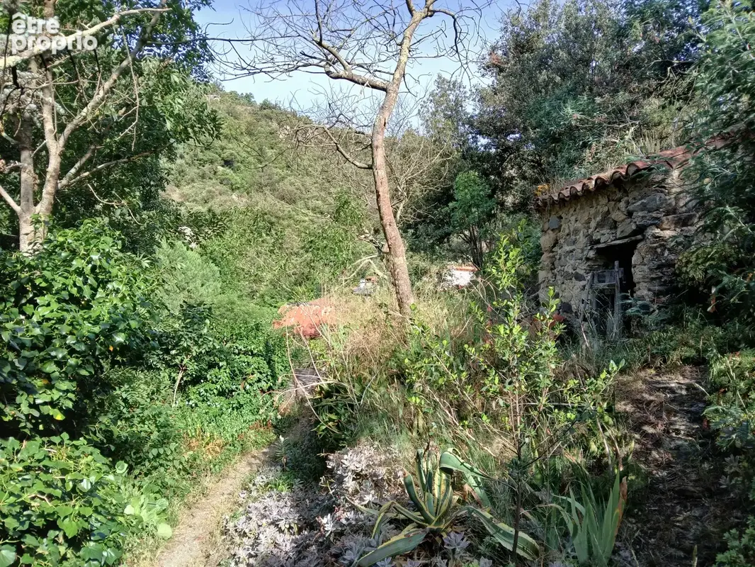 Mas en pierre à Reynes - photo 7