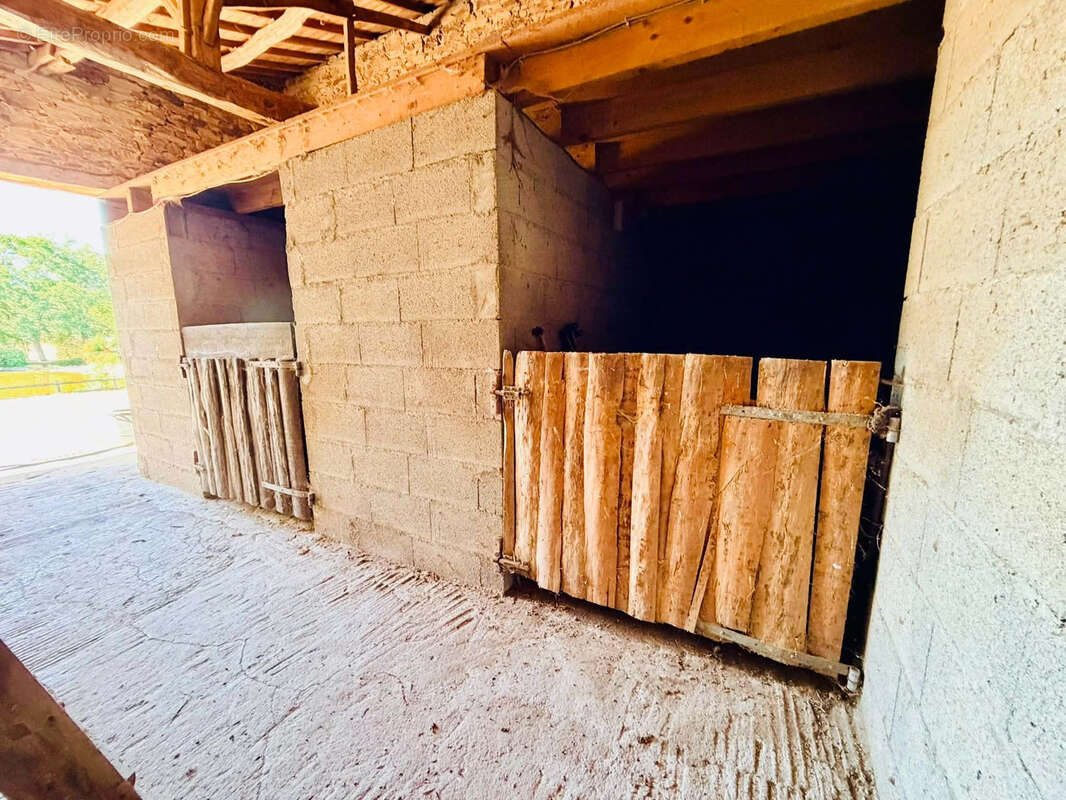 Ancienne longère rénovée avec piscine, étang et installations équestres - photo 20