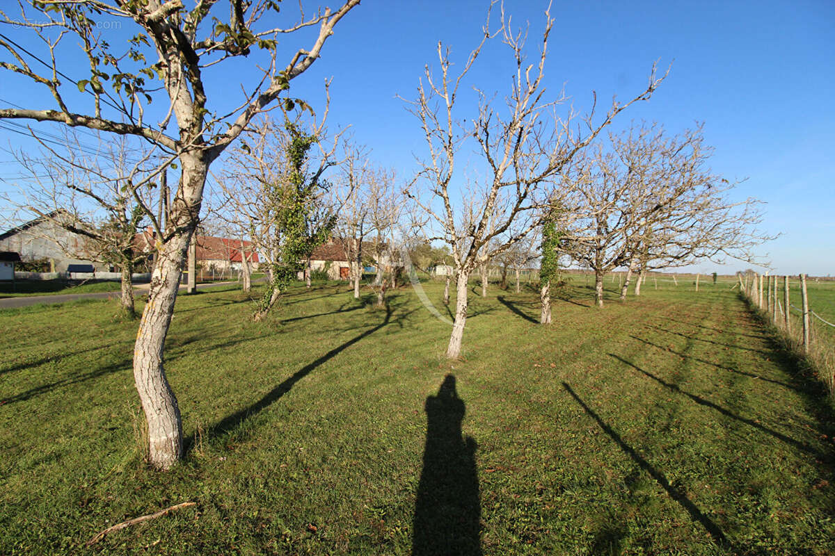 Terrain à MONTEAUX