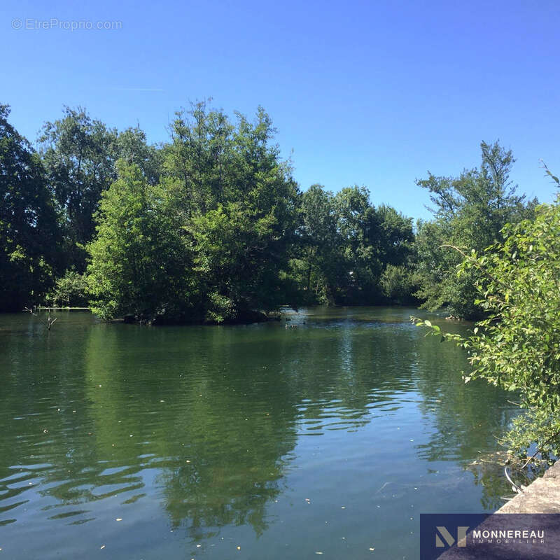 Ensemble immobilier au bord de la charente - photo 16