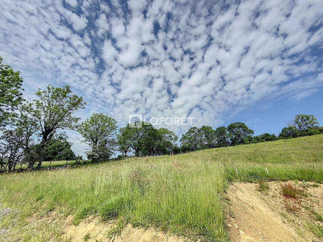 Terrain à LIEUTADES