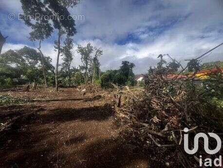 Photo 4 - Terrain à SAINT-PIERRE