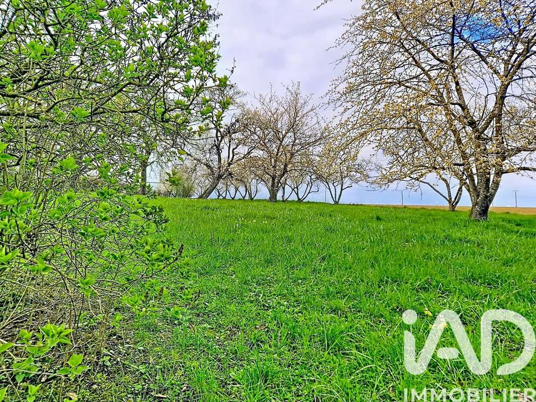 Photo 4 - Terrain à JOUAVILLE