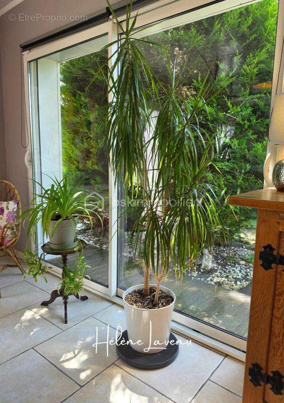 Superbe pavillon plain pied 3 chambres et un bureau - photo 3