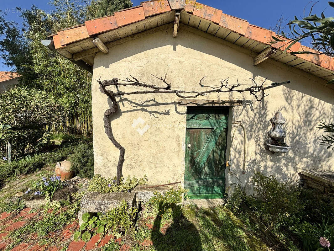 Maison 254 m² à Marigny-Brizay  - photo 6