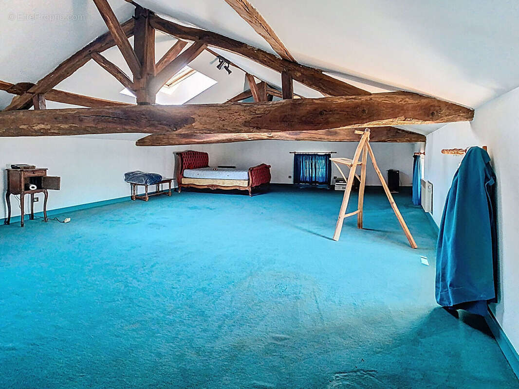 Maison de grande superficie au centre de Saint-Maurice-de-Satonnay - photo 14