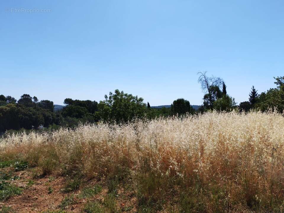 Terrain 628 m² à Lorgues  - photo 2