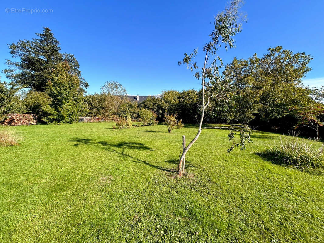 Maison à SAINT-BONNET-PRES-BORT