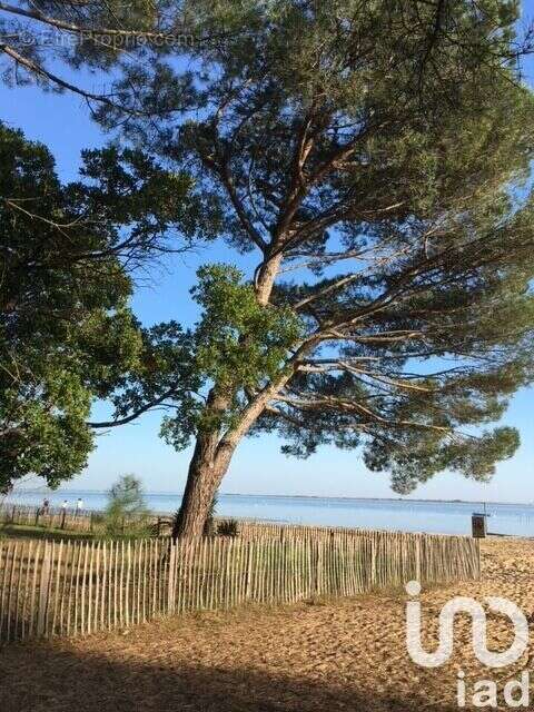 Photo 9 - Maison à LEGE-CAP-FERRET