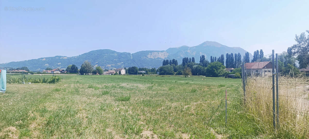 Rare à la vente : terrain 1059m2 constructible à amancy - photo 10