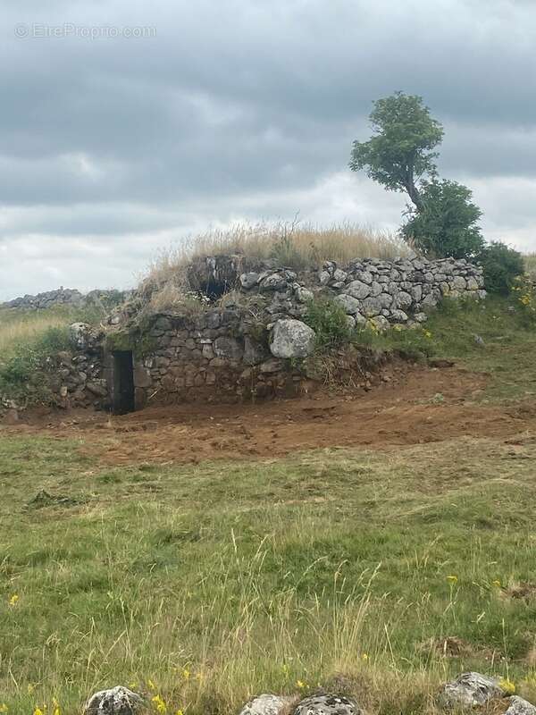 Maison à SAINT-VINCENT-DE-SALERS