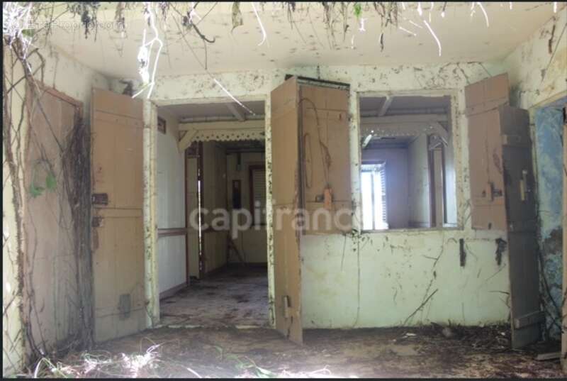 À Vendre – Grand terrain à bâtir de 6 130 m² à Ajoupa-Bouillon (Martinique) - photo 4