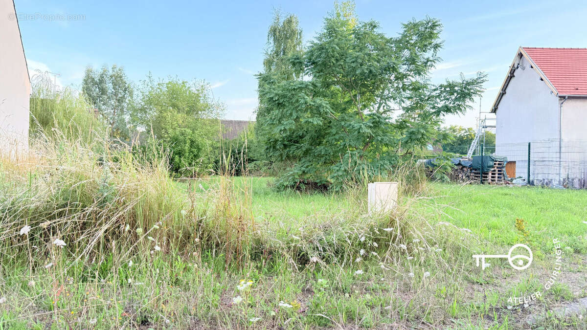 Terrain à VILLENY