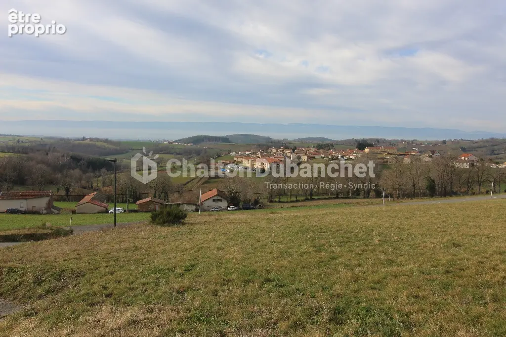 Terrain 1 240 m² à vendre à Montchal (42360) - photo 3