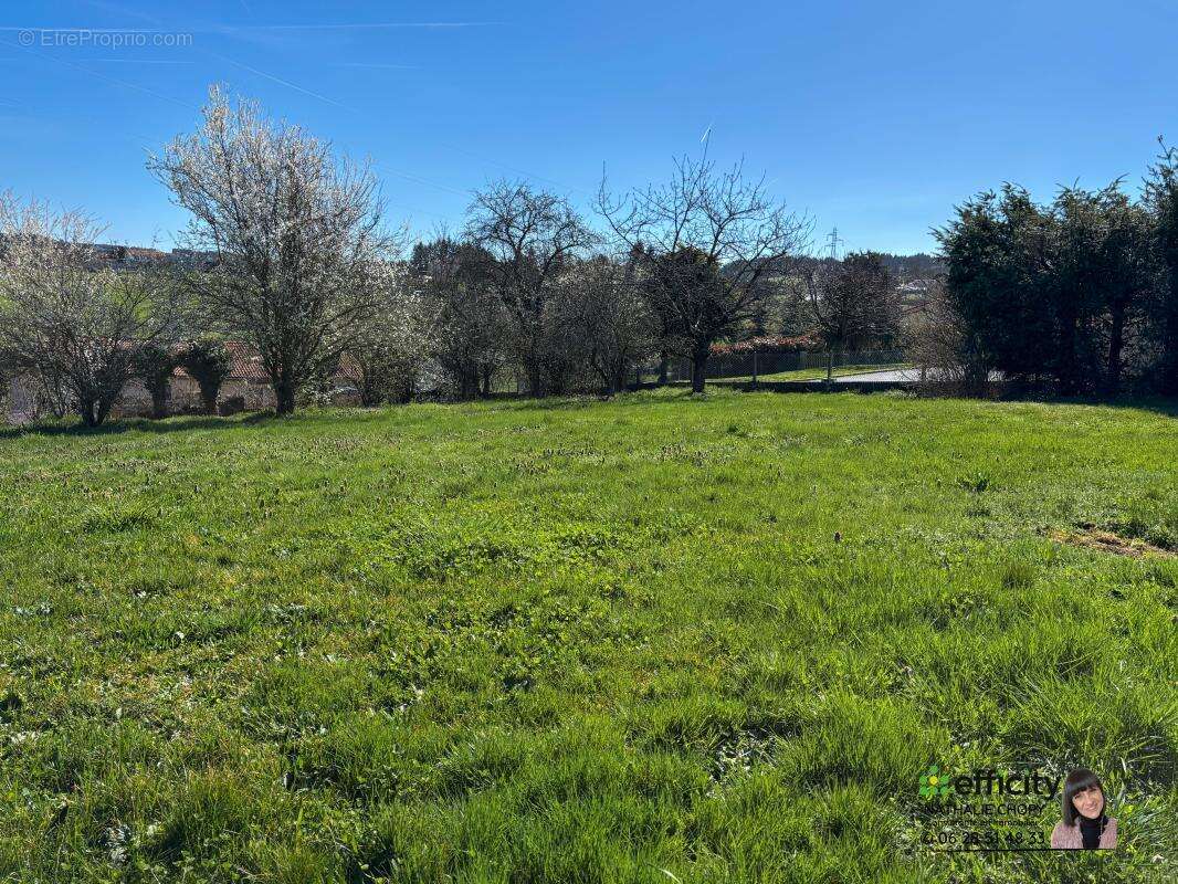 Maison à MONISTROL-SUR-LOIRE