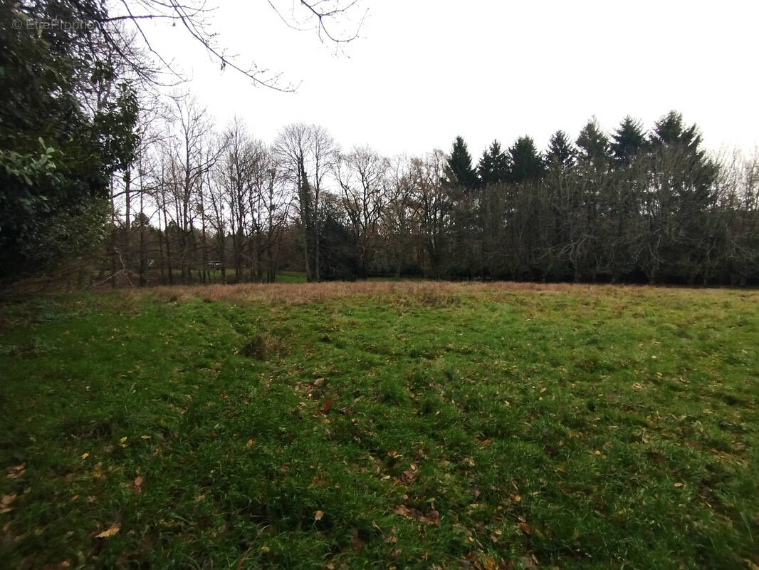 Terrain à SAINT-SAUVEUR-DES-LANDES