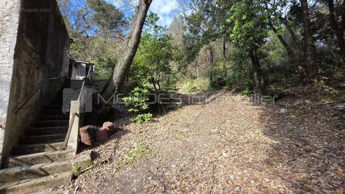Maison à LA TRINITE