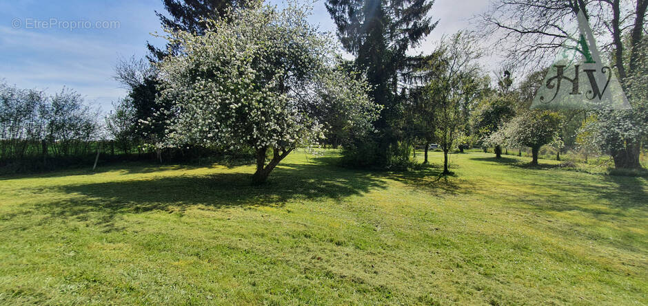 Terrain à BRAY-SUR-SEINE