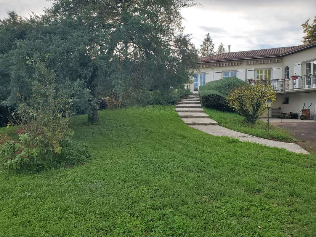 Maison à CHAMPNIERS