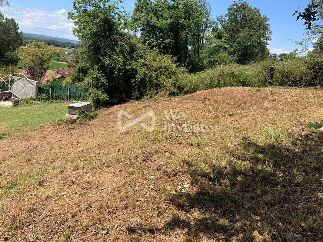 Terrain à LABASTIDE-MONREJEAU