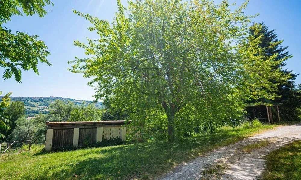 Ferme avec appartements, laboratoire de transformation et boutique à la ferme — Le Marche - photo 21